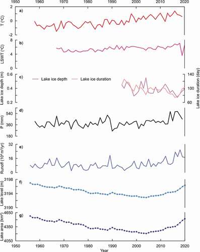 Figure 2. Warmer and wetter climate driving lake change, with Qinghai Lake as a case study, from 1956 to 2020. a) Air temperature (T) observed at Gangcha station from 1958 to 2019. b) Lake surface water temperature (LSWT) at Xiashe station from 1967 to 2020. c) Lake ice depth and lake ice duration at Xiashe station from 1994 to 2020. d) Precipitation (P) at Gangcha station from 1958 to 2019. e) Runoff at Buha station from 1956 to 2020. f) Lake level at Xiashe station from 1956 to 2020. g) Lake area from 1956 to 2020 estimated from the correlation constructed between lake area derived from Landsat images and lake level from gauge measurements in 2001 − 2020. The locations of stations are shown in Figure S2 in the supporting information. The correlation between lake area and level is shown in Figure S3