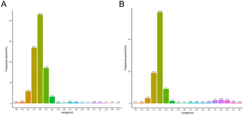 Figure 1. Length distribution of small RNAs in DF (A) and SF (B) granulosa cells.