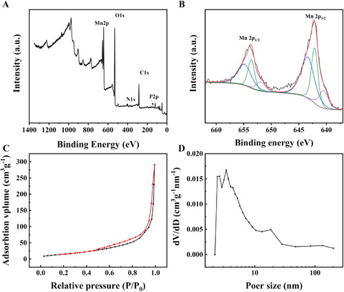 Figure 4. (A) XPS spectra of H-MnO2-SRF-APT. (B) Detailed XPS spectrum of the Mn element in H-MnO2-SRF-APT. (C) Nitrogen absorption–desorption isotherm and (D) pore distribution of H-MnO2.