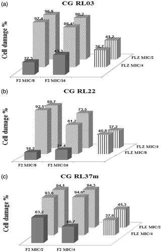 Figure 3. (a) CG RL03. (b) CG RL22. (c) CG RL37m. Percentage of cellular damage found in the three most effective combinations resulting from the interaction between the F2 active fraction and fluconazole (F2 + FLZ). Horizontal axis: percentage of cellular damage obtained when the F2 active fraction was evaluated separately in two minimum inhibitory concentrations different. Depth axis: percentage of cellular damage obtained when the fluconazole (FLZ) was assessed separately in two minimum inhibitory concentrations different. Vertical axis: percentage of cellular damage resulting from the interaction between the F2 active fraction with fluconazole (F2 + FLZ) in different minimum inhibitory concentrations.Display full size F2 active fraction Display full size FLZ Display full size(F2+FLZ)