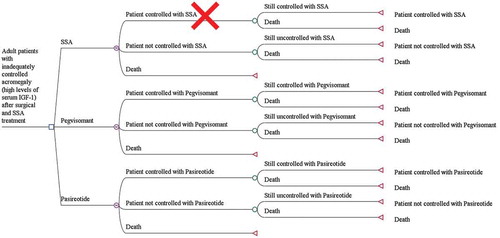 Figure 1. Decision tree model in patients with acromegaly requiring second-line pharmacological treatment.