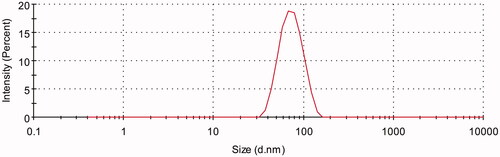 Figure 2. Size distribution of AMF-loaded TPGS/soluplus mixed micelles measured by dynamic light scattering.