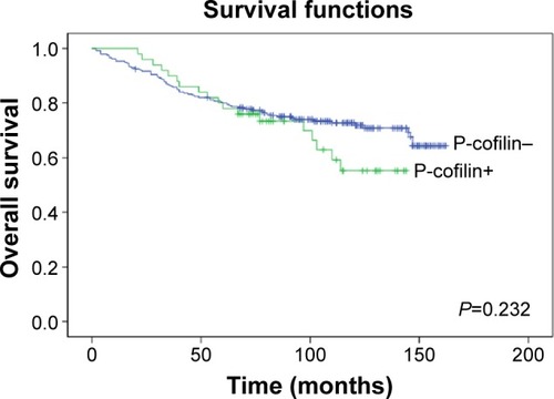 Figure 2 Association of P-cofilin with overall survival among patients with invasive ductal breast cancer.