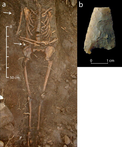 Fig 1 Protective objects placed in medieval graves included natural materials and curated objects such as prehistoric lithics. (a) A young adult female excavated at Ballyhanna, with a flint arrowhead lying near the left hand (not preserved). (b) Detail of the late-neolithic/early Bronze-Age arrowhead. Reproduced with permission from McKenzie and Murphy Citation2018; photos © Irish Archaeological Consultancy Ltd and Jonathan Hession; annotation by Libby Mulqueeny; Ballyhanna Research Project, National Roads Authority/Transport Infrastructure Ireland.