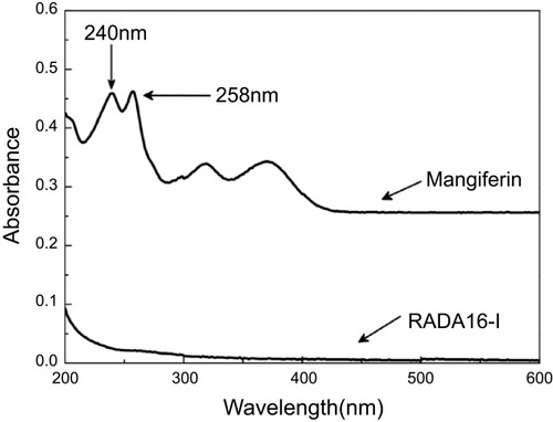 Figure 7 The ultraviolet spectra of blank RADA16-I solution and 4 μg/mL mangiferin solution.