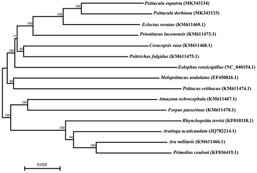Figure 1. Phylogeny of 15 parrot species based on the complete mitogenomes using Neighbor-joining method. Bootstrap support values are given at the nodes.