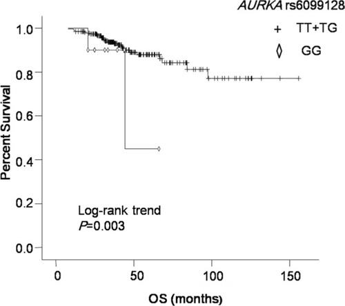 Figure 1 Kaplan–Meier curve of OS for patients with different AURKA rs6099128 genotypes.Abbreviation: OS, overall survival.