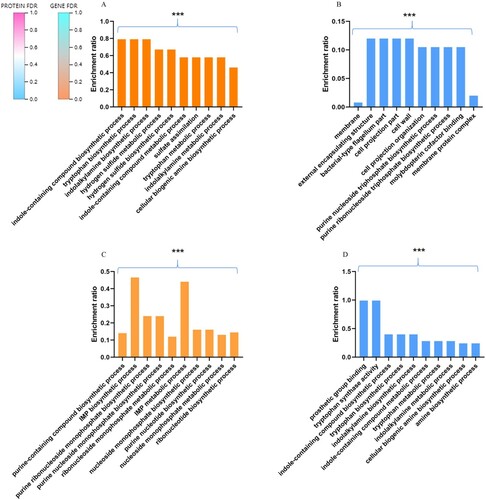 Figure 5. The DEGS and DEPS from ΔETT2 versus WT. (A) Up-regulated DEGS GO enrichment analysis. (B) Up-regulated DEPS GO enrichment analysis. (C) Down-regulated DEGS GO enrichment analysis. (D) Down-regulated DEPS GO enrichment analysis. The abscissa represents the GO term, and the ordinate represents the enrichment rate. The colour gradient of the column indicates the significance of enrichment, where P or FDR < 0.001 is marked as ***, P or FDR < 0.01 is marked as **, and P or FDR < 0.05 is marked as *.