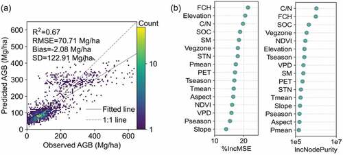 Figure 7. (a) Predicted AGB versus observed AGB; (b) Rank the importance of variables by %IncMSE and IncNodePurity. Note that R2, RMSE, Bias, SD represent the coefficient of determination, root mean square error, mean bias, and standard deviation. FCH, NDVI, C/N, SOC, SM, STN, Pmean, Pseason, PET, Tmean, Tseason, and VPD represent forest canopy height, normalized difference vegetation index, soil C: N mass ratios, soil organic carbon, soil moisture, soil total nitrogen density, average precipitation per year, precipitation seasonality, mean annual potential evapotranspiration, average temperature per year (Tmean), temperature seasonality (Tseason), and maximum annual vapor pressure deficit.