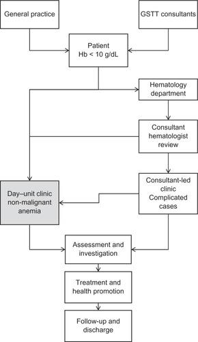 Figure 2 The patient pathway developed by the Guy’s and St Thomas’ Rapid-Access Anemia Clinic.