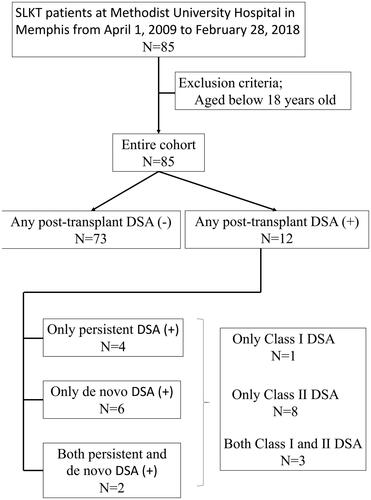 Figure 1. Flow chart of patient selection and incidence and prevalence of de novo DSA and persistent DSA. Abbreviations: DSA: Donor-specific antibody; de novo DSA: newly developed DSA; N: Number; SLKT: Simultaneous liver–kidney transplantation.