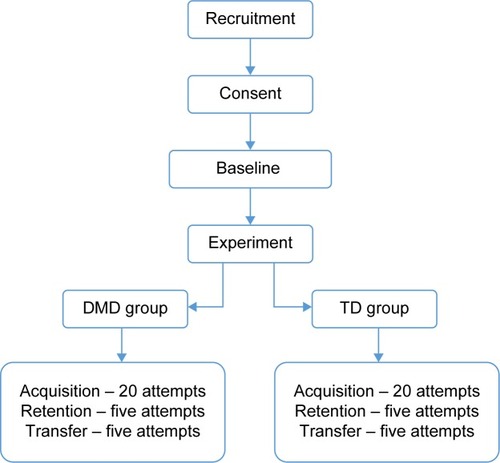 Figure 2 Study flowchart.