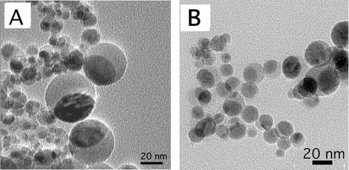 FIG. 3 Bright field TEM images of non-core-shell nanoparticles from H2/air flames with (A) 0.65 M and (B) 0.03 M precursor concentrations.