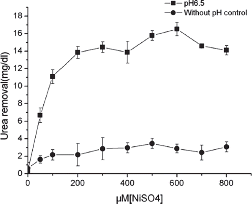 Figure 5. Dependence of urease activity on nickel. Bacteria were grown in GM17 containing 30mg/dl urea supplemented with 0∼800μM NiSO4 at 30°C for 24 hours. The pH was either maintained at 6.5, or without control (n=3).