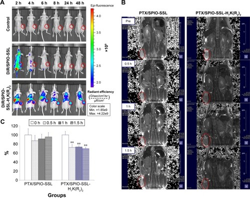 Figure 4 Tissue distribution and in vivo MRI of magnetoliposomes in MDA-MB-231 tumor-bearing mice.Notes: (A) Tissue distribution of DiR-loaded liposomes in tumor-bearing mice. In vivo imaging of MDA-MB-231 tumor-bearing mice after 5% glucose solution (as control), DiR/SPIO-SSL, and DiR/SPIO-SSL-H7K(R2)2 administration at 2, 4, 6, 8, 24, and 48 h, respectively. (B) In vivo MRI of MDA-MB-231 tumor model. In vivo MRI of MDA-MB-231 tumor-bearing mice after PTX/SPIO-SSL and PTX/SPIO-SSL-H7K(R2)2 administration at 0, 0.5, 1, and 1.5 h, respectively. (C) Quantitative T2 measurements in in vivo MRI of MDA-MB-231 tumor model. Quantitative T2 measurements showed ~30%±3% decrease of PTX/SPIO-SSL-H7K(R2)2 group at 0.5, 1, and 1.5 h. **p<0.01 versus that of preinjection of liposomes (0 h time point) as control.Abbreviations: DiR, 1,10-dioctadecyltetramethyl indotricarbocyanine iodide; MRI, magnetic resonance imaging; PTX, paclitaxel; PTX/SPIO-SSL, PTX/SPIO-loaded liposome; PTX/SPIO-SSL-H7K(R2)2, H7K(R2)2-modified liposome containing PTX and SPIO; SPIO, superparamagnetic iron oxide; SSL, sterically stabilized liposome.