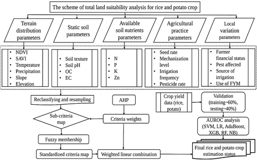 Figure 2. Steps of LSA model for rice and potato crop.