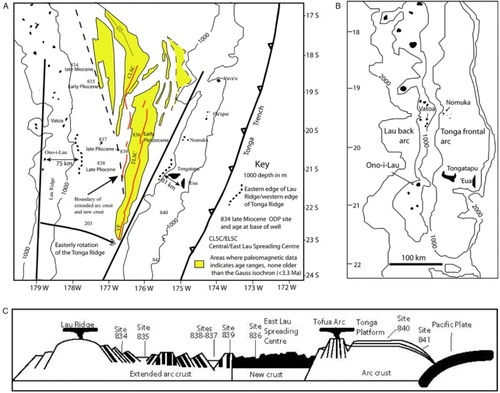 Figure 3. Lau Basin tectonics. A, Synthesis of data centred on the Lau Basin, after Taylor et al. (Citation1996), with c. 20° easterly rotation of the Tonga Ridge (solid black lines) after Sager et al. (Citation1994). B, Outline reconstruction of the ancestral Lau–Tonga ridge, pre-Lau Basin formation, just after splitting commenced, with bathymetric contours. C, Schematic section of the Lau Ridge, Lau Basin and Tonga Ridge with ODP sites at c. 1.5–1.0 Ma after Clift et al. (Citation1995), modified to reflect the work of Parson & Wright (Citation1996).