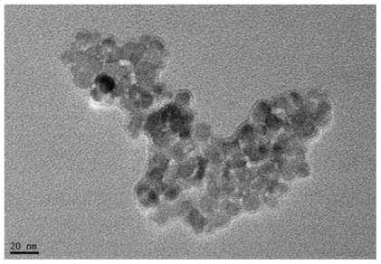 Figure 1 TEM Image of magnetic nanoparticles of Fe3O4, Bar = 20 nm (X40000 times).