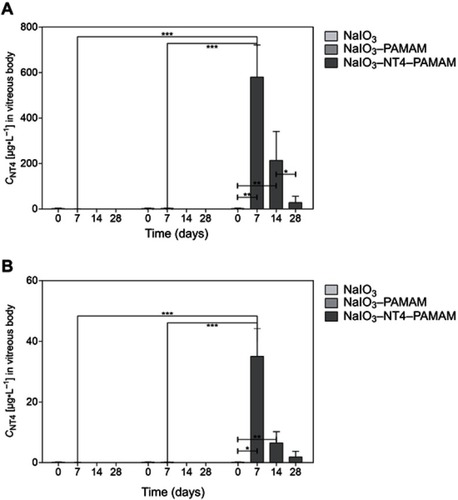 Figure 6 Desorption characteristics of NT4 proteins in vitreous body after injection of control mice (before treatment), NaIO3 injection, and NaIO3–PAMAM or NaIO3–PAMAM–NT4 injection.Notes: (A) ELISA detection of NT4; (B) NT4 concentration normalized to total protein concentration of individual tissue samples. Results shown as means ± SD. *P<0.05; **P<0.01; ***P<0.001.Abbreviation: PAMAM, polyamidoamine.