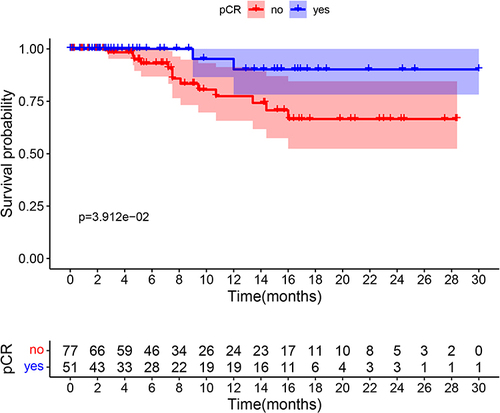 Figure 4 Disease-free survival for patients with pCR and non-pCR.