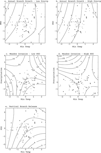 FIGURE 8. Contour maps showing effects of significant second-order interactions between climate variables and ecological response. a and b. Interactions of minimum monthly temperature and Pacific Decadal Oscillation (PDO) indices with annual branch growth for contrasting situations of low precipitation (a) and high precipitation (b). c and d. Interactions of minimum monthly temperature and monthly precipitation with meadow invasion for contrasting situations of low (negative) PDO (c) and high (positive) PDO (d) e. Interactions of minimum temperature and PDO with vertical branch release. In each case, ecological response (branch growth, meadow invasion, or vertical branch initiation) increases as contours increase. Contour intervals are in units of ecological response: cm for annual branch growth, number of trees for meadow invasions, and number of branches for vertical branch release. Main axis units are standard deviations from the mean of each variable. Scatter of dots in each graph is the set of recorded points derived from 90 yr of composite weather records, with large dots indicating above average precipitation conditions (a, b, e) or positive PDO index values (c, d) and small dots indicating below average precipitation conditions (a, b, e) or negative PDO index values (c, d)