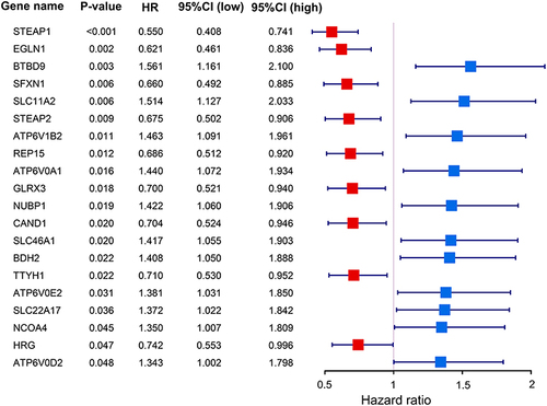 Figure 1 The forest plot exhibits the associations between iron metabolism related genes and prognosis in TCGA-LUAD cohort patients.