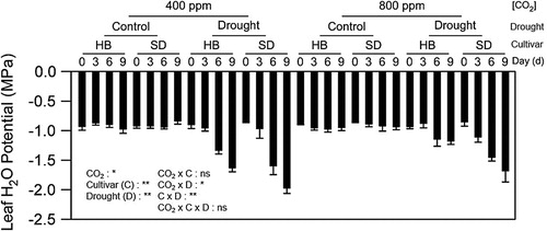 Figure 1. Effects of CO2 enrichment, genotype, and water stress on changes of potato LWP. Changes of leaf water potential (LWP) in two potato cultivars, Harley Blackwell (HB) and Snowden (SD), when plants were subjected to progressive drought at 0, 3, 6 and 9 days (d) after water was withheld at ambient (400 ppm) and elevated (800) CO2 levels. Control: well-watered condition; Drought: water deficit condition. Error bars represent SEM (n = 6). The ANOVA for the treatments and duration of drought (days) are also given as *; P < 0.05; **; P < 0.01.