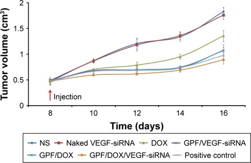 Figure 14 The tumor volume of blank control, naked VEGF-siRNA, DOX, GPF/VEGF-siRNA, GPF/DOX, and GPF/DOX/VEGF-siRNA (n=10).Abbreviations: DOX, doxorubicin; GPF, graphene oxide-poly-l-lysine hydrobromide/folic acid; NS, normal saline; siRNA, small interfering RNA; VEGF, vascular endothelial growth factor.