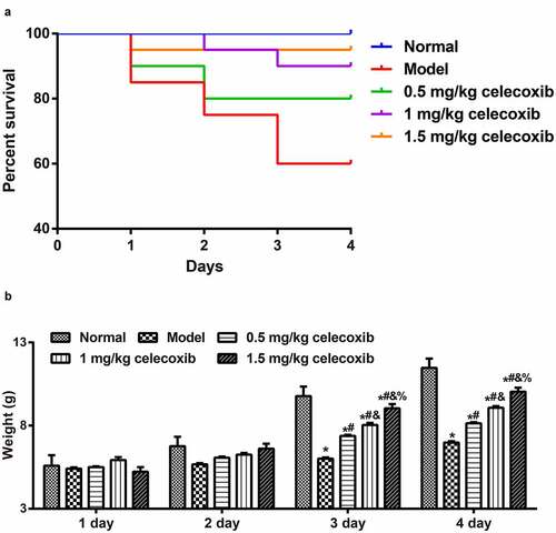 Figure 1. Celecoxib decreased the severity of NEC in neonatal rats