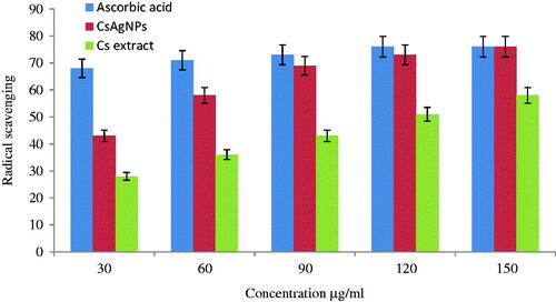 Figure 3. DPPH scavenging activities of Cladosporium species-mediated synthesized silver nanoparticles and compared the values with standard ascorbic acid and Cladosporium species extract alone.