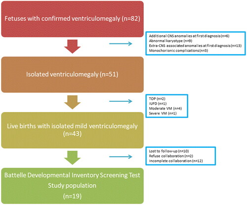 Figure 1. Flow chart of the study population. TOP: termination of pregnancy; IUFD: intrauterine fetal death; CNS:central nervous system.