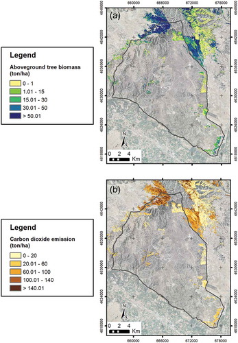 Figure 4. AGB (a) and CO2 (b) emissions mapping of P. halepensis forest.