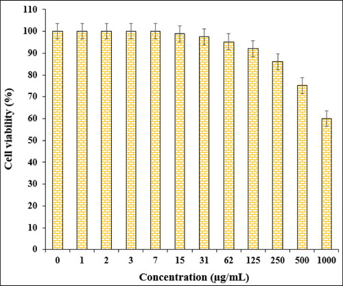 Figure 7. The cytotoxicity potentials of Fe3O4@Starch/Cu against HUVEC cell line.