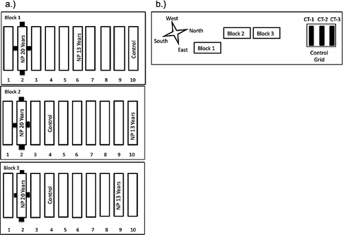 FIGURE 1 Schematic map of the Long Term Ecological Research (LTER) Dry Heath experimental plots. Each plot has a treatment assigned, but only plots used in this experiment are labeled. (a) Plot layout within blocks; black squares are seed rain trap areas. (b) Site layout including Control Grid 35 m north of LTER blocks. Map courtesy of J. Laundre, Marine Biological Laboratory, Woods Hole, Massachusetts.