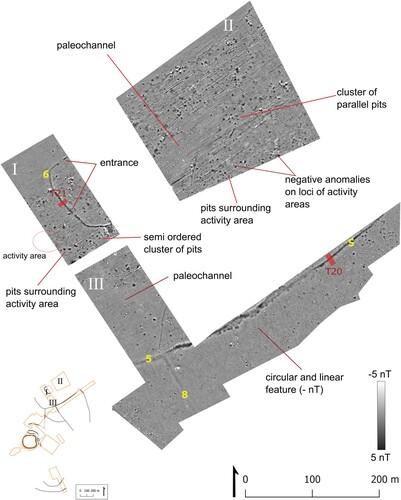 Figure 16. Magnetometry of Gradište Iđoš in the northern sector. Roman numerals name the tiles of surveyed areas for the text, yellow number the ditch number IDs, and red squares mark the location of excavation trenches with 14C dated material (not to scale).