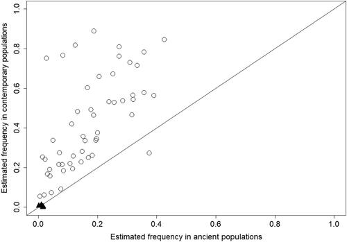 Figure 2. Estimated population frequencies of the 55 variants identified to be risk factors for oncologic diseases in ancient vs. contemporary populations. Points above the identity line (x = y) are variants estimated to have higher frequencies in contemporary compared to ancient populations. The three variants (rs28940298 in VHL, rs11571833 in BRCA2 and rs7837822 in TP53) are represented with black triangles.