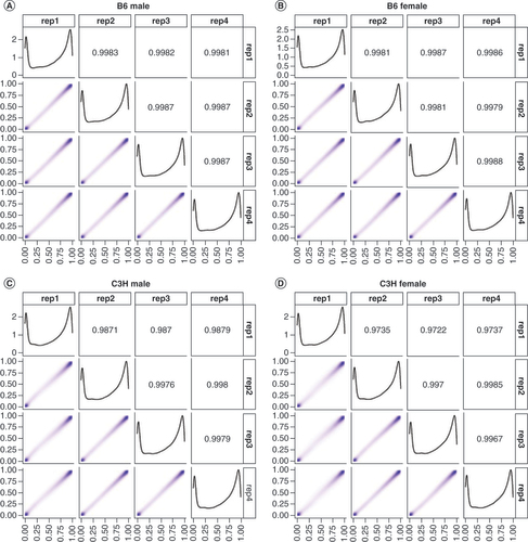 Figure 1. Correlations between technical replicates for all four technical replicates for each group. (A) B6 males, (B) B6 females, (C) C3H males and (D) C3H females.