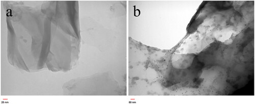 Figure 8. TEM images of GO (a) and GO/NHs (b).