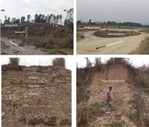 Figure 9. Field photographs showing evidences of recent tectonics in the Piedmonts: (a) Unpaired river terraces of Somb river, (b) vertical incision of river valley and mid channel bars in the present channel of Markanda river, (c) clay and gravel alternating layers with bend in clay bed, and (d) recently deposited mass flow debris in front of piedmonts.