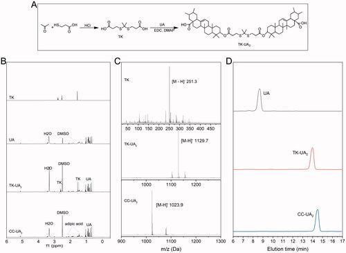 Figure 1. Characterization of TK, TK-UA2, and CC-UA2. (A) 1H NMR spectrum of TK, TK-UA2, and CC-UA2, respectively. (B) MS spectrum of TK, TK-UA2, and CC-UA2, respectively. (C) HPLC spectrum of UA, TK-UA2, and CC-UA2, respectively.