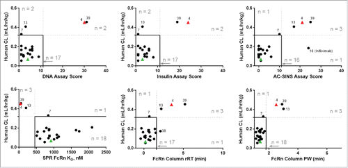 Figure 4. In vitro assay parameter correlation with in vivo CL from mAbs administered to humans. The observed CL of mAbs administered to humans is plotted against the measurements for each mAb from each of the in vitro assays: DNA binding, insulin binding, AC-SINS, hFcRn SPR, and hFcRn column chromatography rRT and PW. Threshold values reflect those shown in Fig. 3, where rapid CL is defined at >0.32 mL/hr/kg (dotted horizontal lines) and in vitro parameter thresholds are shown as vertical dotted lines. Solid lines indicate the region where both in vitro assay scores and in vivo CL fall below threshold. Spearman correlation (ρ) are not depicted as sparse data leads to values <0.6. Correlative significance (p < 0.05) is observed for human CL relationship to the AC-SINS assay, hFcRn column rRT and PW results. Circles and triangles, linear CL. Squares, apparent linear CL. •, study mAbs. Green ▴, negative control mAb-01. Red ▴, positive control mAb-04. Control mAbs-02, -03 and -05 do not have corresponding CL in human.