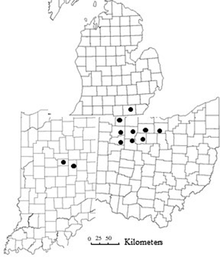 Fig. 1 Map of the counties surveyed for bacterial spot in processing tomato, 2010–2020. Northwest Ohio: Ottawa, Erie, Sandusky, Fulton, Wood, Henry, Putnam and Hancock; Southeast Michigan: Lenawee; and Central Indiana: Madison, Tipton counties.