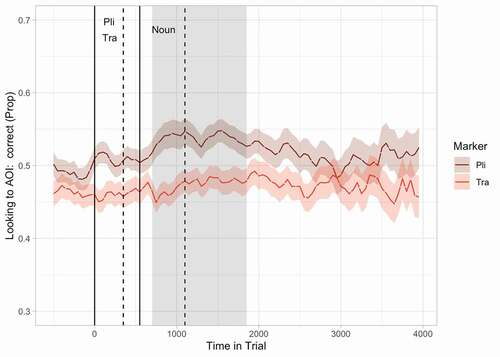 Figure 3. Proportion of looks toward the target picture over time for sentences with pli and sentences with tra for all learners together. Proportion of looks was calculated from all looks that were either on the target or on the non-target picture. Solid lines indicate the onset of the grammatical marker (pli or tra) and the noun respectively, dashed lines the offsets of these words. The shaded area indicates the cluster of time bins during which an effect of grammatical marker was observed.