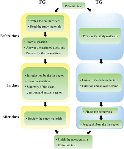 Figure 1. Flow diagram illustrating the flipped classroom and traditional lecture-based classroom models. FG: flipped classroom group, TG: traditional lecture-based classroom group.