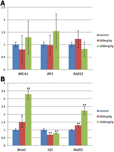 Figure 2. Changes in gene expression levels in Rag1-/- mice treated with F. pinicola extract. A. Changes in human gene expression levels in the PC3 tumors. B. Changes in gene expression levels of mouse genes in the liver tissues. Bars represent the mean and standard error (n = 3). Statistically significant differences vs. controls are shown at *P < 0.05, **P < 0.01.