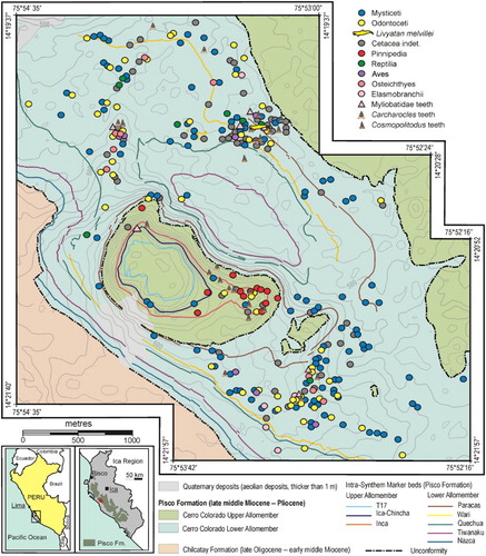 Figure 3. Map of the investigated area of Cerro Colorado showing the whole fossil vertebrate distribution.