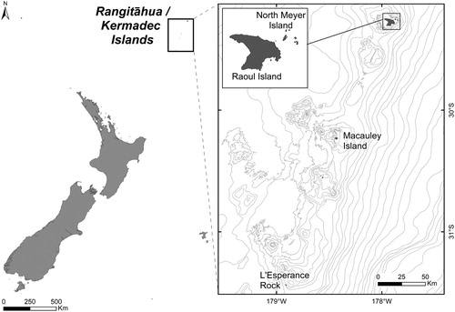 Figure 1. Map of Rangitāhua/Kermadec Islands highlighting the sampling sites where epiphytic dinoflagellates referred to in this study were collected from macroalgae.