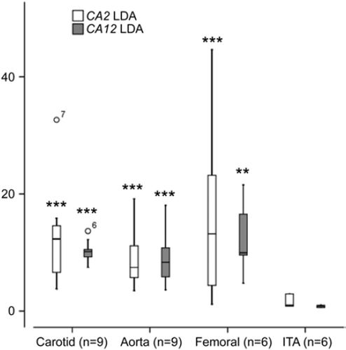 Figure 3. Expression of CA2 and CA12 in control internal thoracic artery (ITA), carotid, aortic, and femoral plaque samples measured with TaqMan Low-Density Array (LDA). *P < 0.05, **P < 0.01, ***P < 0.001 relative to control (ITA), Mann-Whitney U-test.