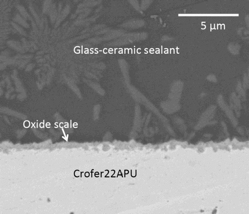 4 Scanning electron microscopy cross-section of preoxidised Crofer22APU/KMBY glass ceramic sealant interface after joining process at 850°C after 30 min