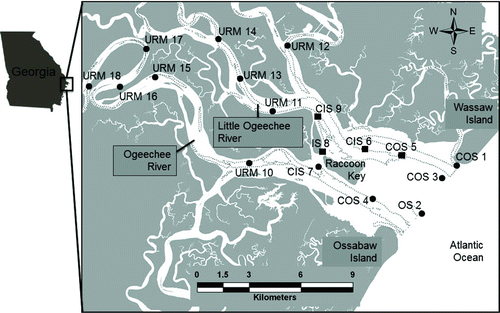 FIGURE 1 Map of the Ossabaw Sound Estuary, Georgia. Individual receiver locations are indicated by the black squares (receivers deployed in both 2010 and 2011) or circles (receivers deployed in 2011 only). Receivers are labeled with habitat codes (COS = channel outer sound; OS = outer sound; CIS = channel inner sound; IS = inner sound; URM = upriver marsh). The dotted line represents the 6-m depth contour.